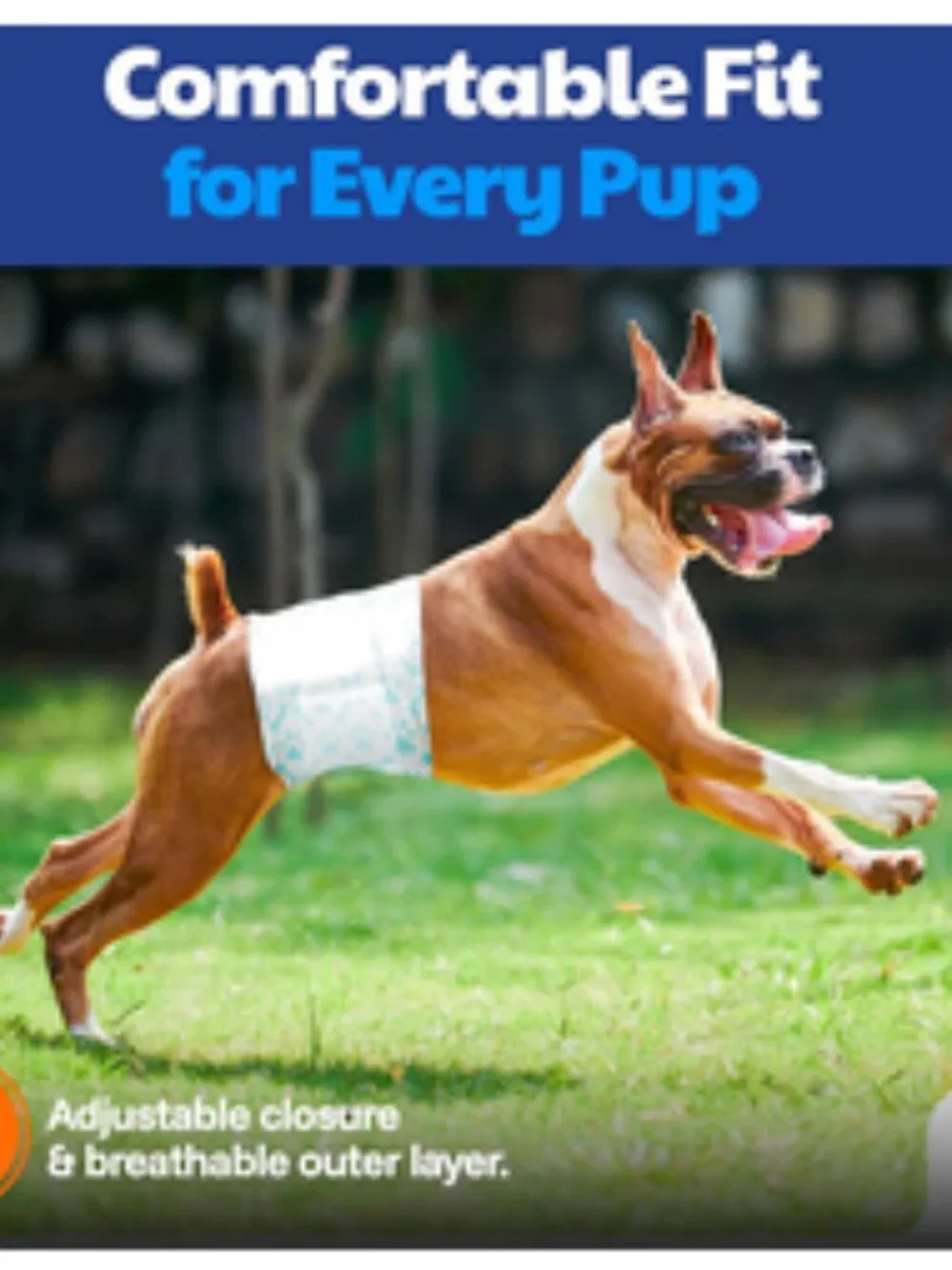 American Kennel Club Disposable Diapers for Male Dogs; Size: Large, 50 Ct. Pkg.